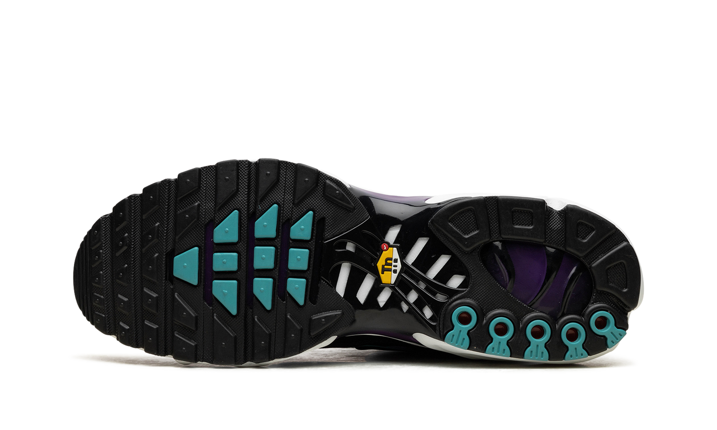 Nike Air Max Plus "Reverse Grape" FQ2415 500