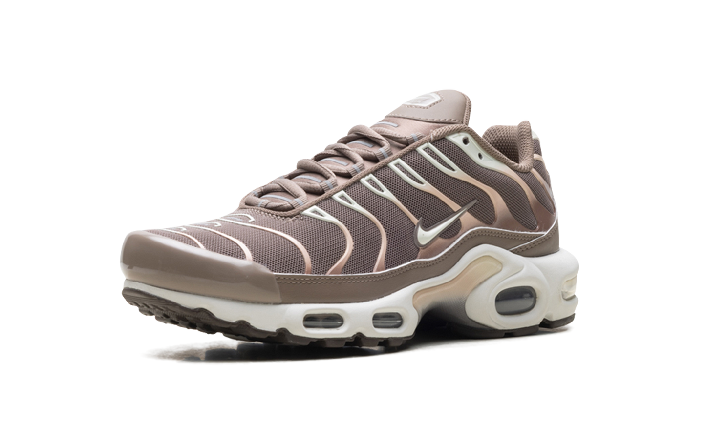 Nike Air Max Plus "Mink Brown" DZ3671 200