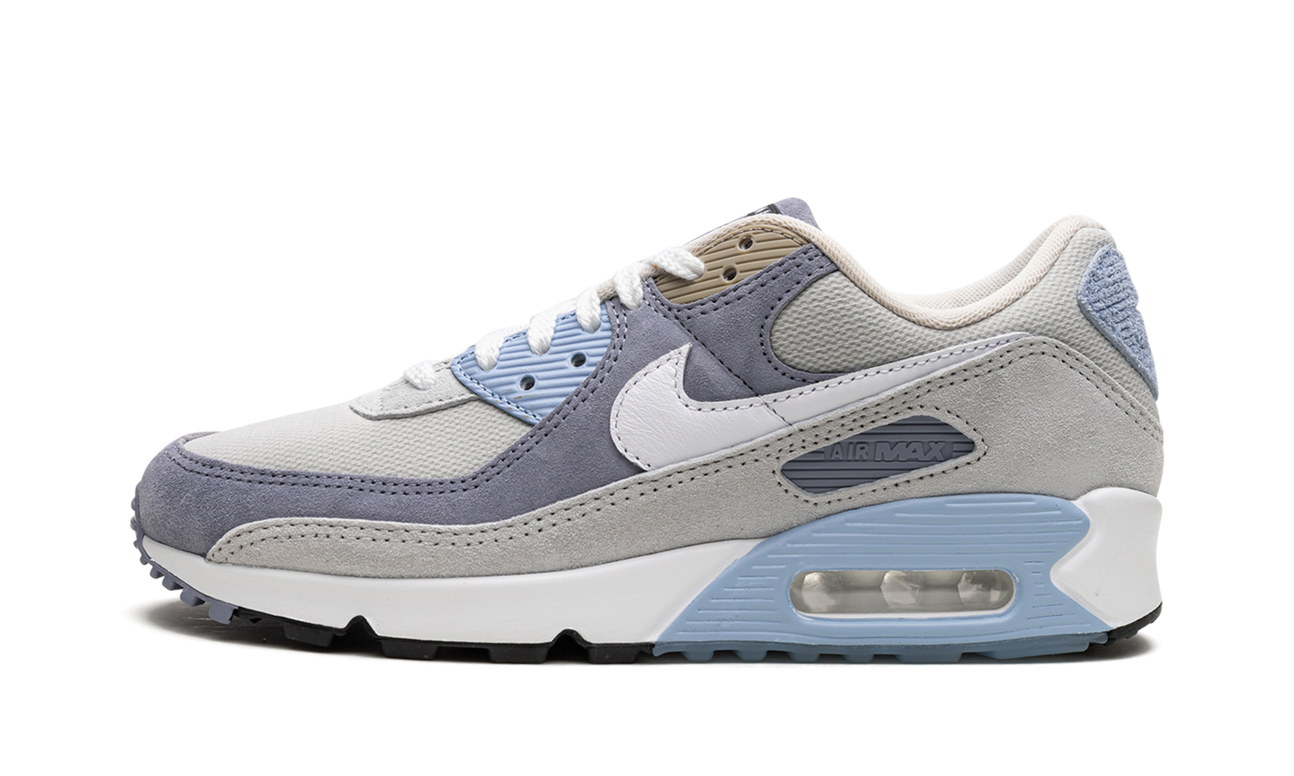 Nike Air Max 90 "Ashen Slate" DM0035 400
