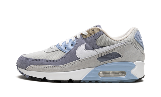 Nike Air Max 90 "Ashen Slate" DM0035 400