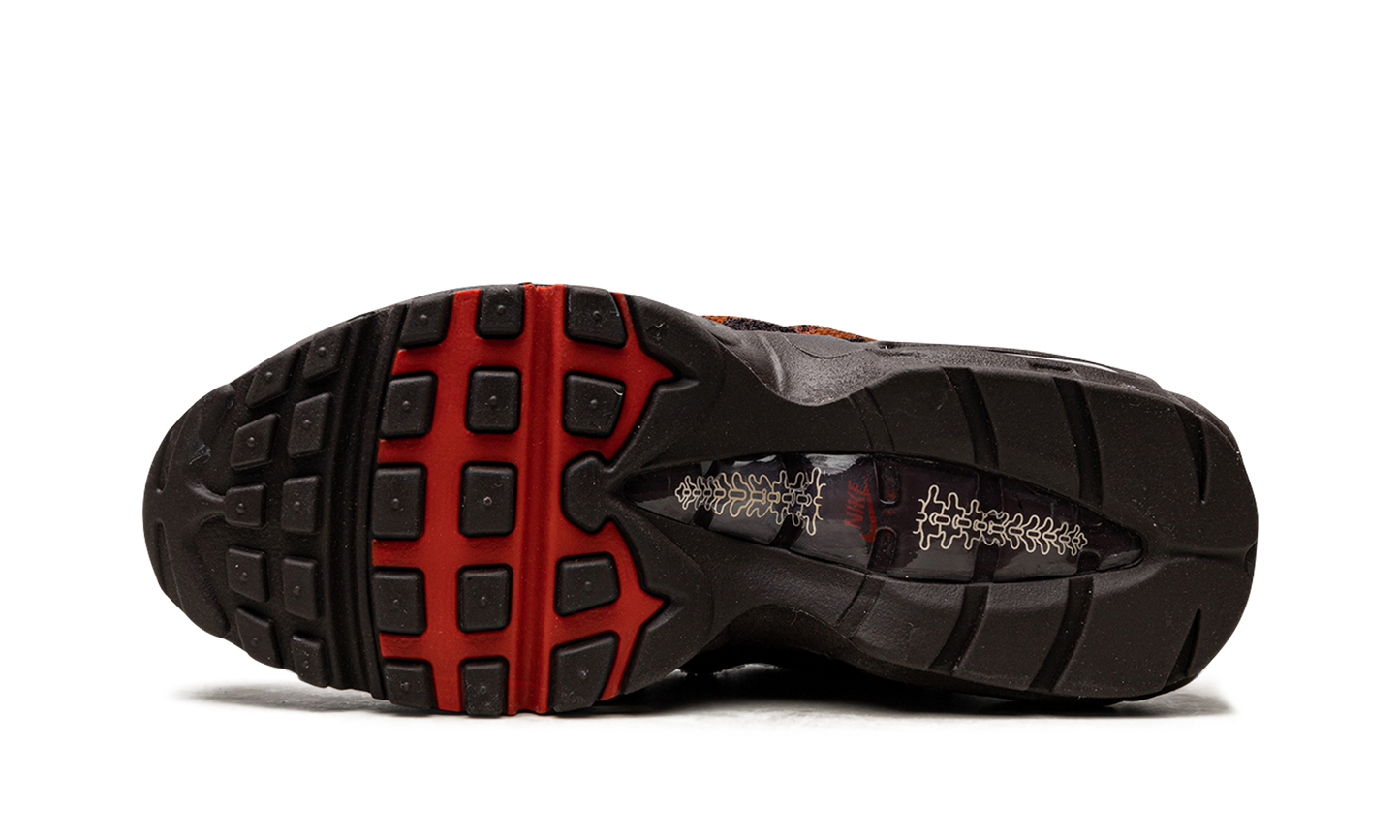 Nike AIR MAX 95 MNS WMNS "Anatomy" DZ4710 200