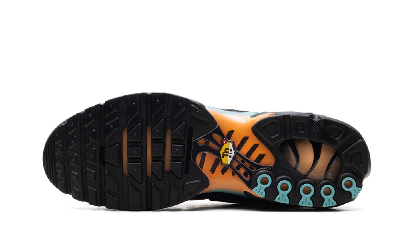 Nike Air Max Plus "South Beach" DM0032 022