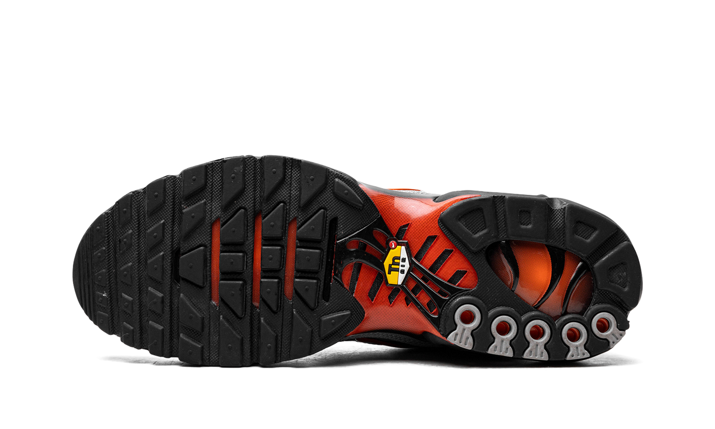 Nike Air Max Plus "Wolf Grey Picante Red" DM0032 011