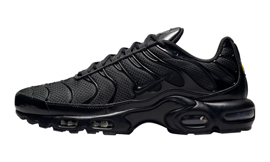 Nike Air Max Plus "Triple Black" AJ2029 001