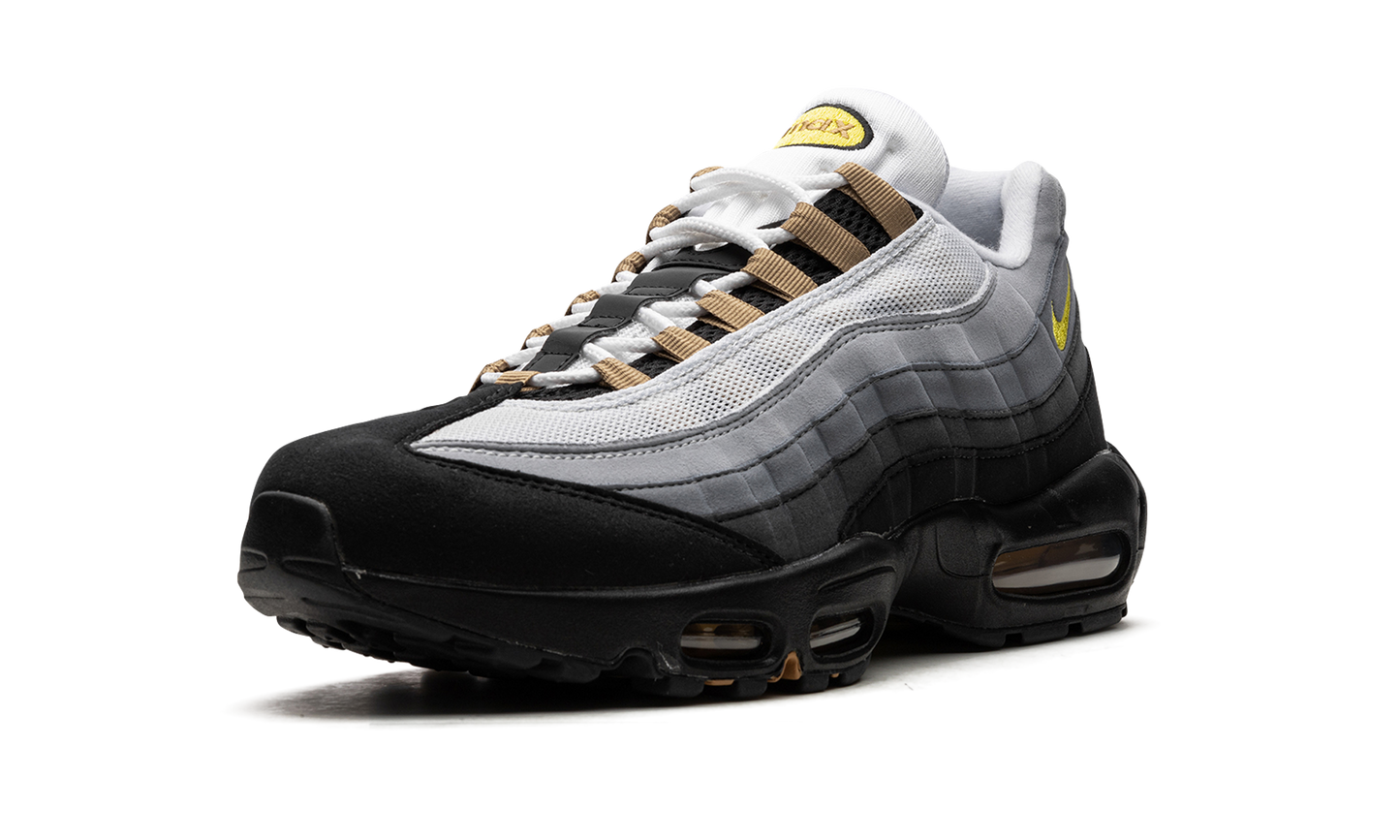 Nike Air Max 95 "ICONS" DX4236 100