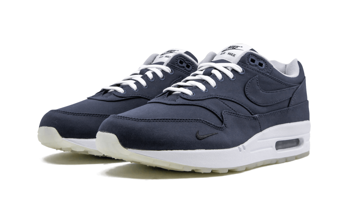 Nike Air Max 1 "DSM" AH8051 400