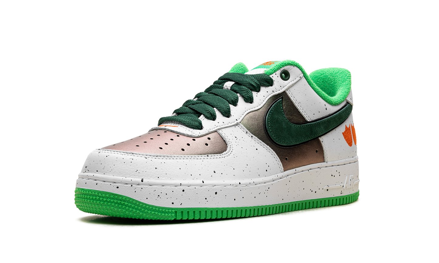 Nike Air Force 1 Low "Ducks of a Feather University of Oregon" IU7613 100