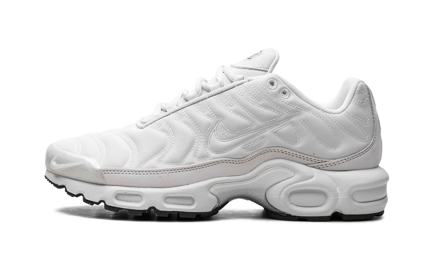 Nike Air Max Plus WMNS "Platinum Tint" FZ4342 001