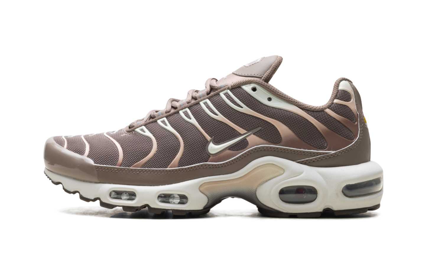 Nike Air Max Plus "Mink Brown" DZ3671 200