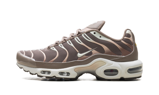 Nike Air Max Plus "Mink Brown" DZ3671 200