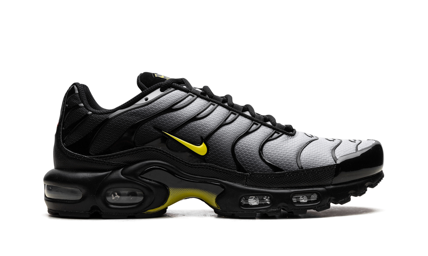 Nike Air Max Plus "Wolf Grey Opti Yellow" DM0032 012
