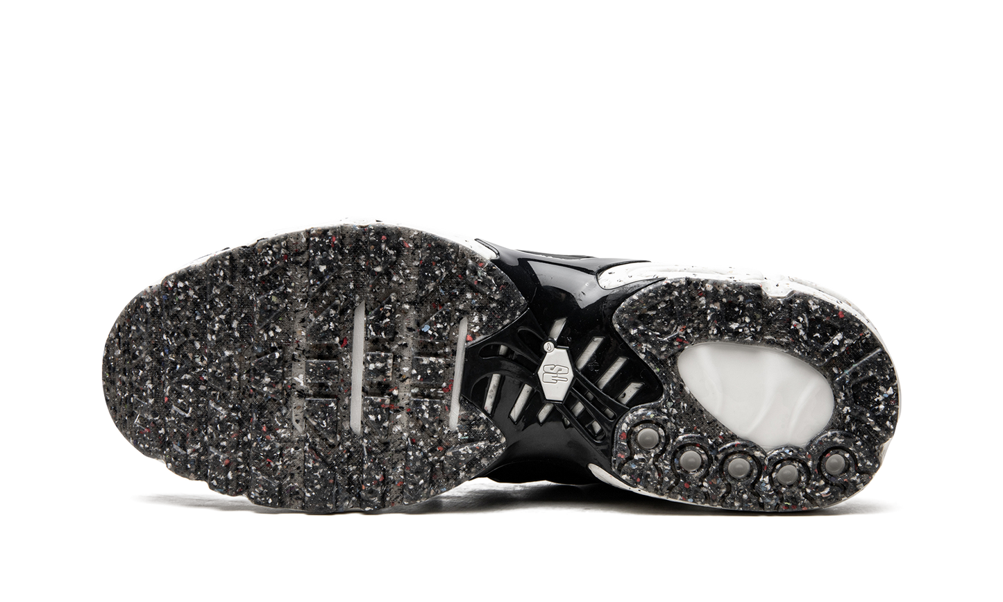 Nike Air Max Plus Terrascape "Off Noir" DN4590 001