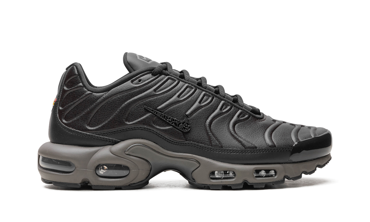 Nike Air Max Plus "Black Tea / Petra Brown" "Black Tea / Petra Brown" HJ4519 200