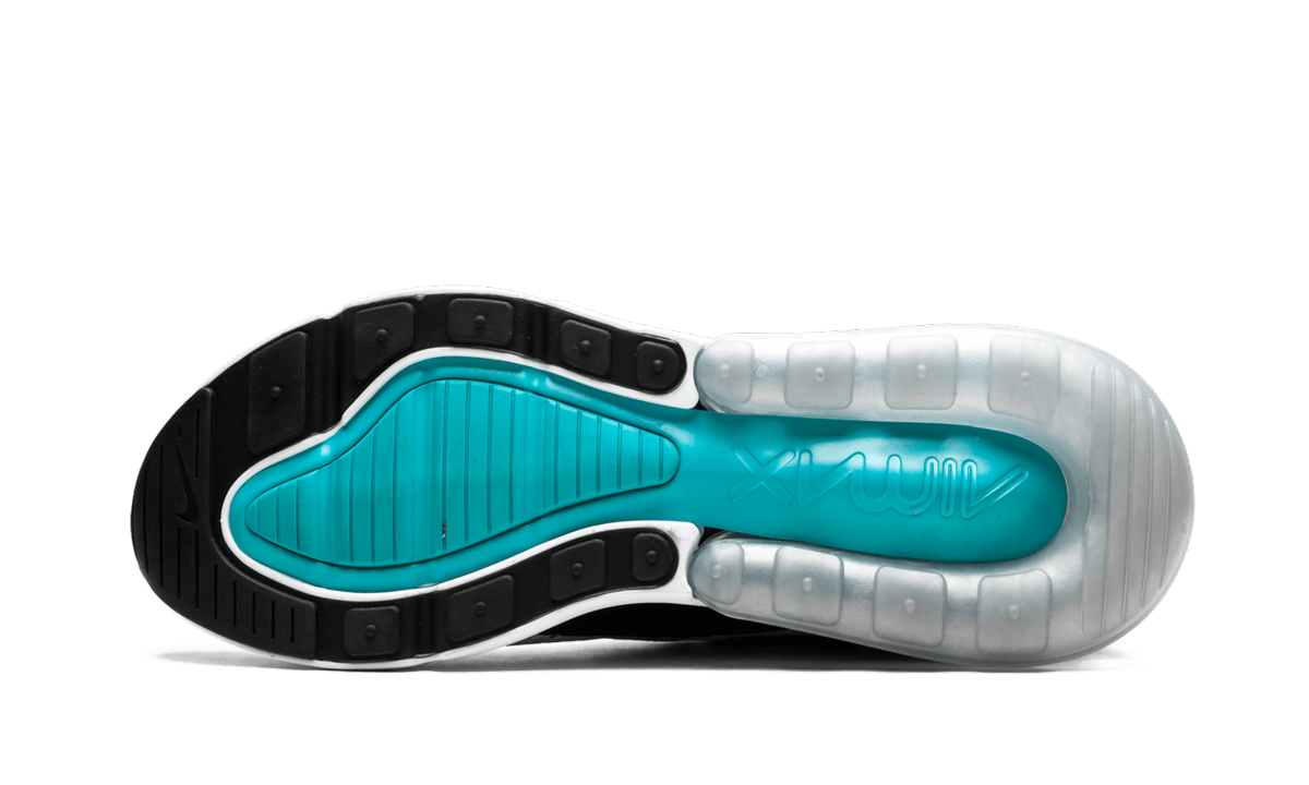 Nike Air Max 270 "Dusty Cactus" AH8050 001