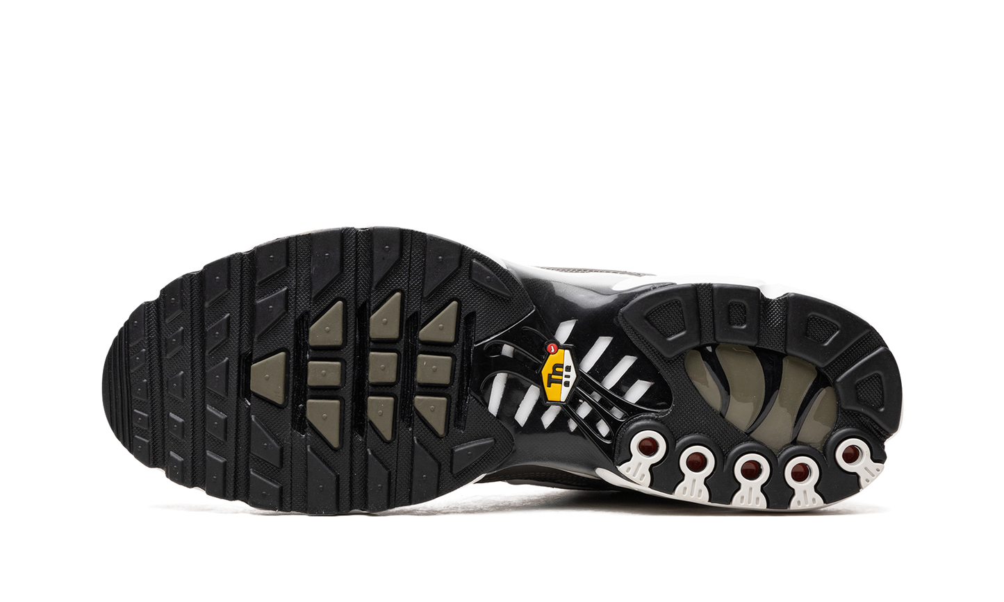 Nike Air Max Plus SE "Flat Pewter" DV7665 002