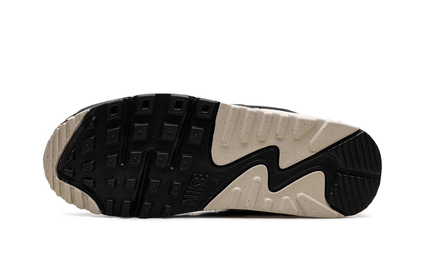Nike Air Max 90 WMNS "Leopard" IF1619 100