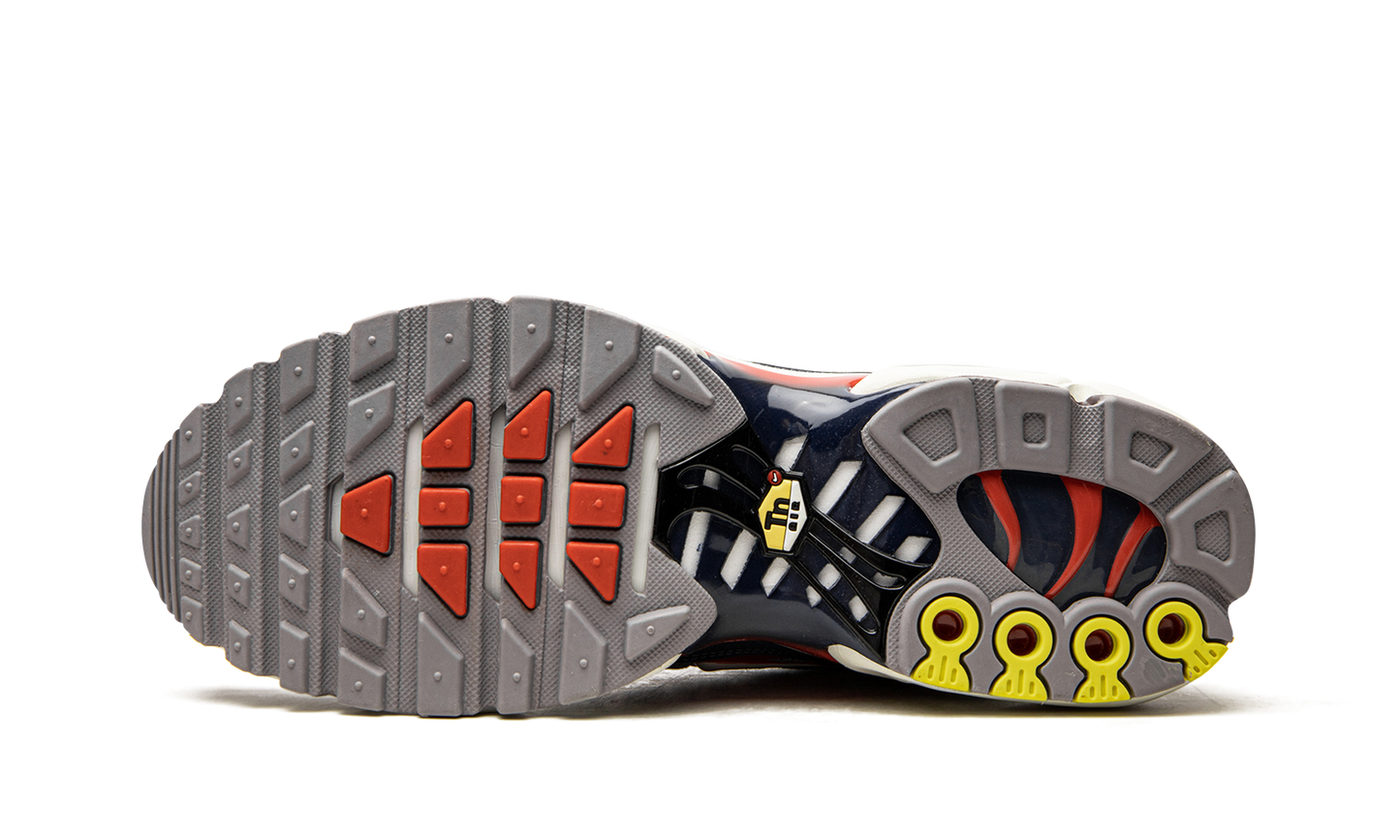 Nike Air Max Plus "USA Grey" DB0682 003