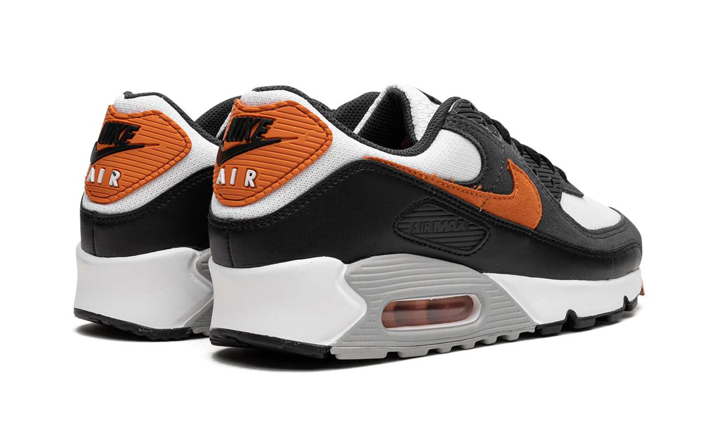 Nike Air Max 90 "Starfish" DM0029 101