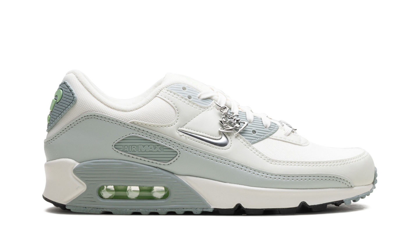 Nike Air Max 90 WMNS "Silver" FN6948-100