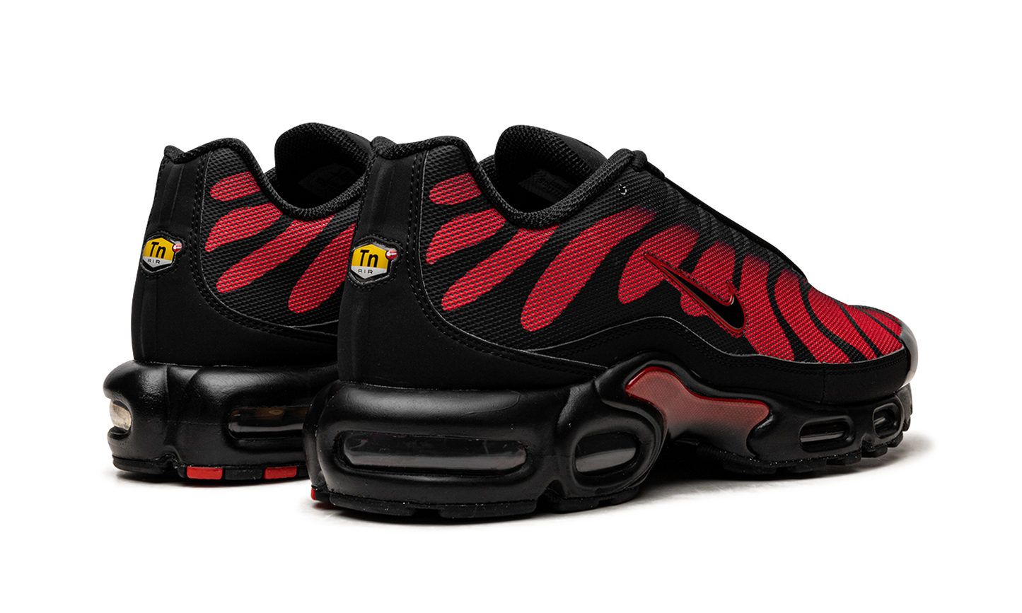 Nike Air Max Plus "Bred Reflective" DZ4507 600