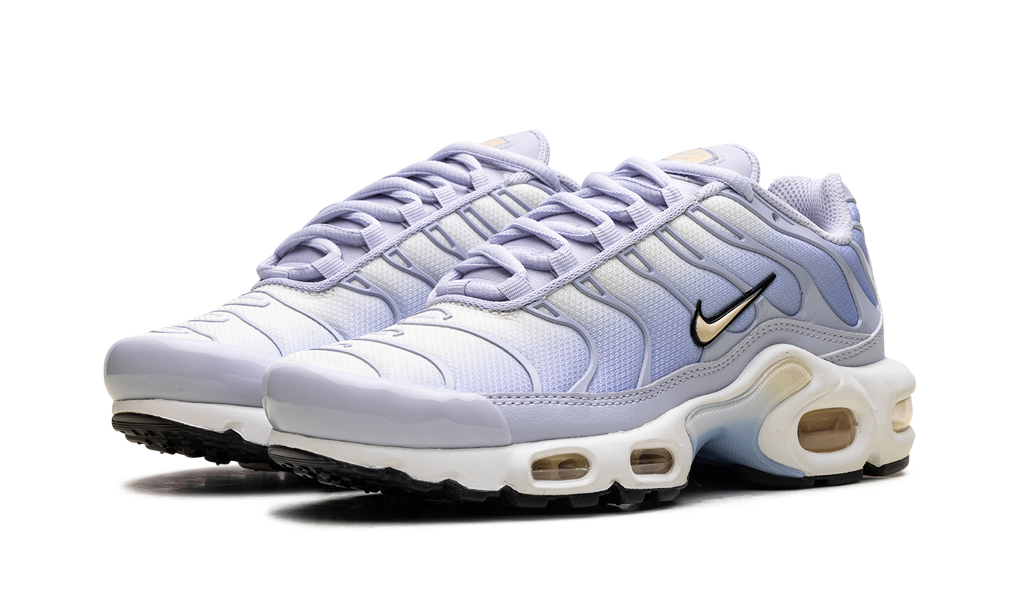 Nike Air Max Plus WMNS "Daybreak" DZ3670 004