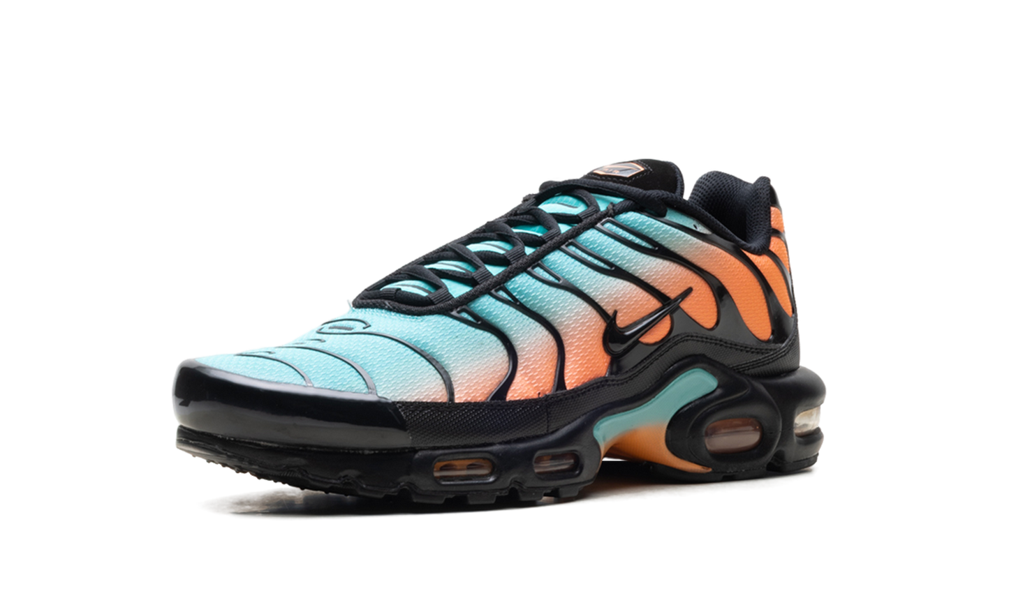 Nike Air Max Plus "South Beach" DM0032 022