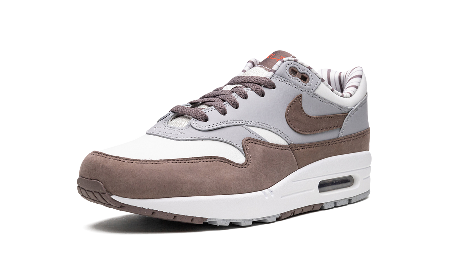 Nike Air Max 1 "Shima Shima" FB8916 100