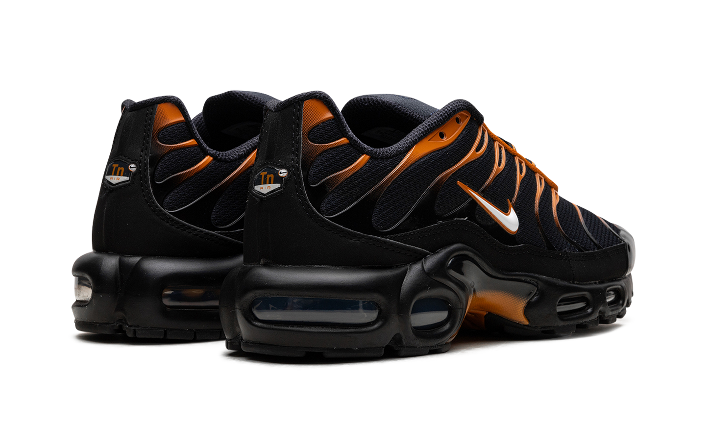 Nike Air Max Plus "OBSIDIAN MONARCH" FN6949 400