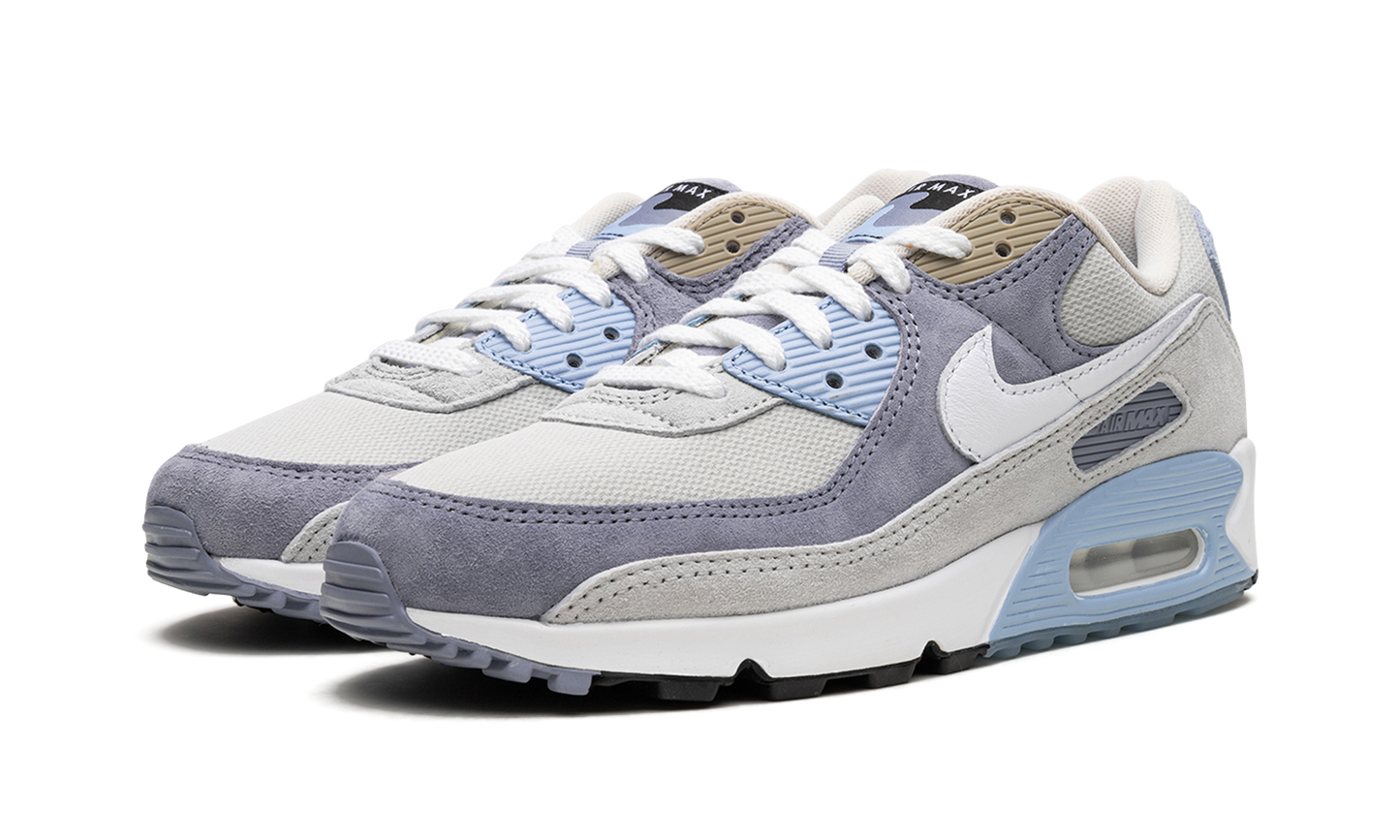 Nike Air Max 90 "Ashen Slate" DM0035 400