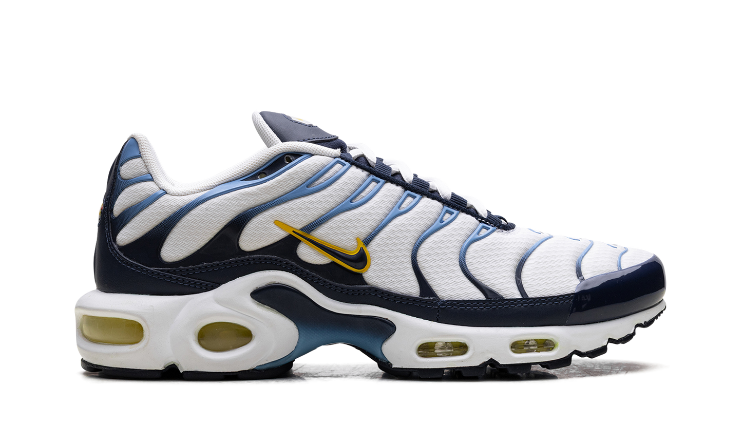 Nike Air Max Plus CT1094 100