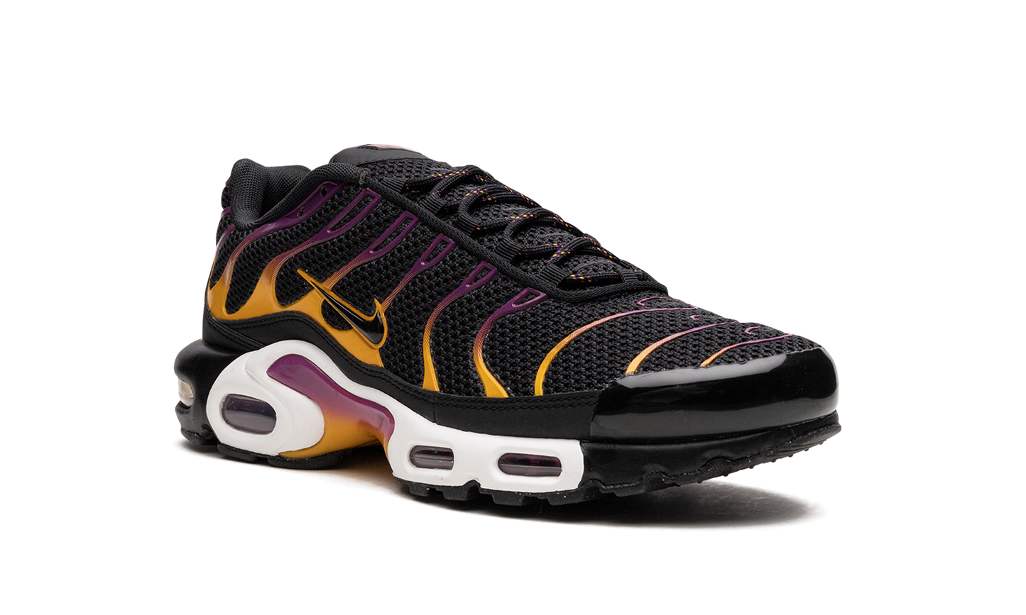 Nike Air Max Plus DX2663 001