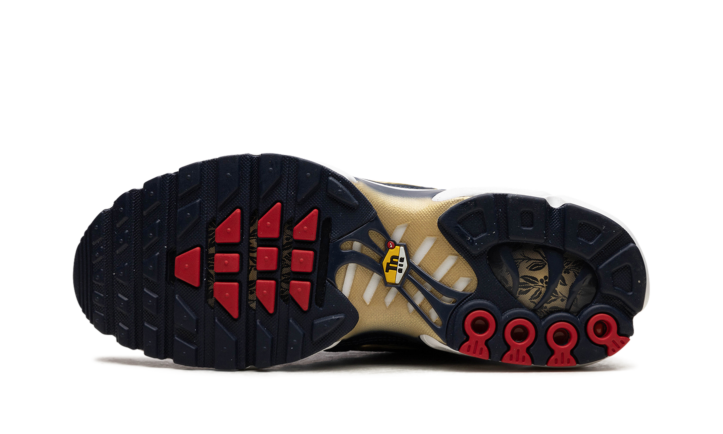 Nike Air Max Plus "FFF" fb3350 400