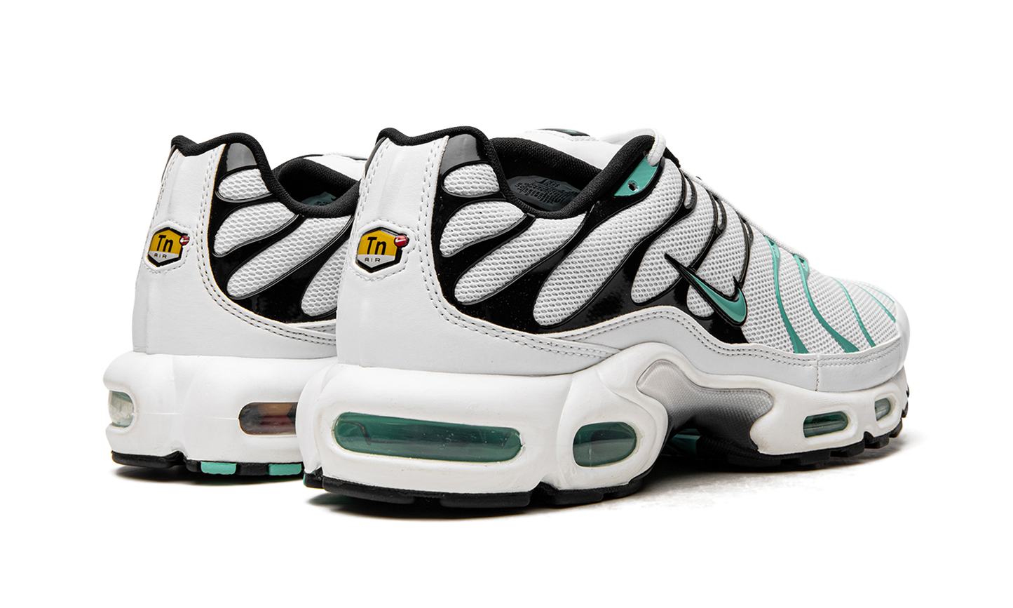Nike Air Max Plus "Atmos" 604133 148
