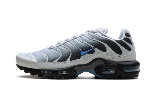 Nike Air Max Plus "Grey University Blue Black" DM0032 015