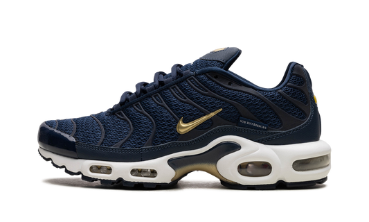Nike Air Max Plus "FFF" fb3350 400