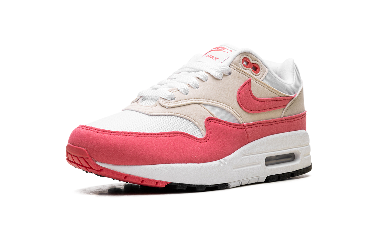 Nike Air Max 1 WMNS "Aster Pink" DZ2628 110