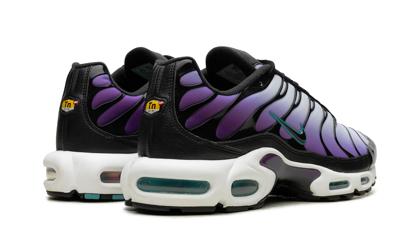 Nike Air Max Plus "Reverse Grape" FQ2415 500
