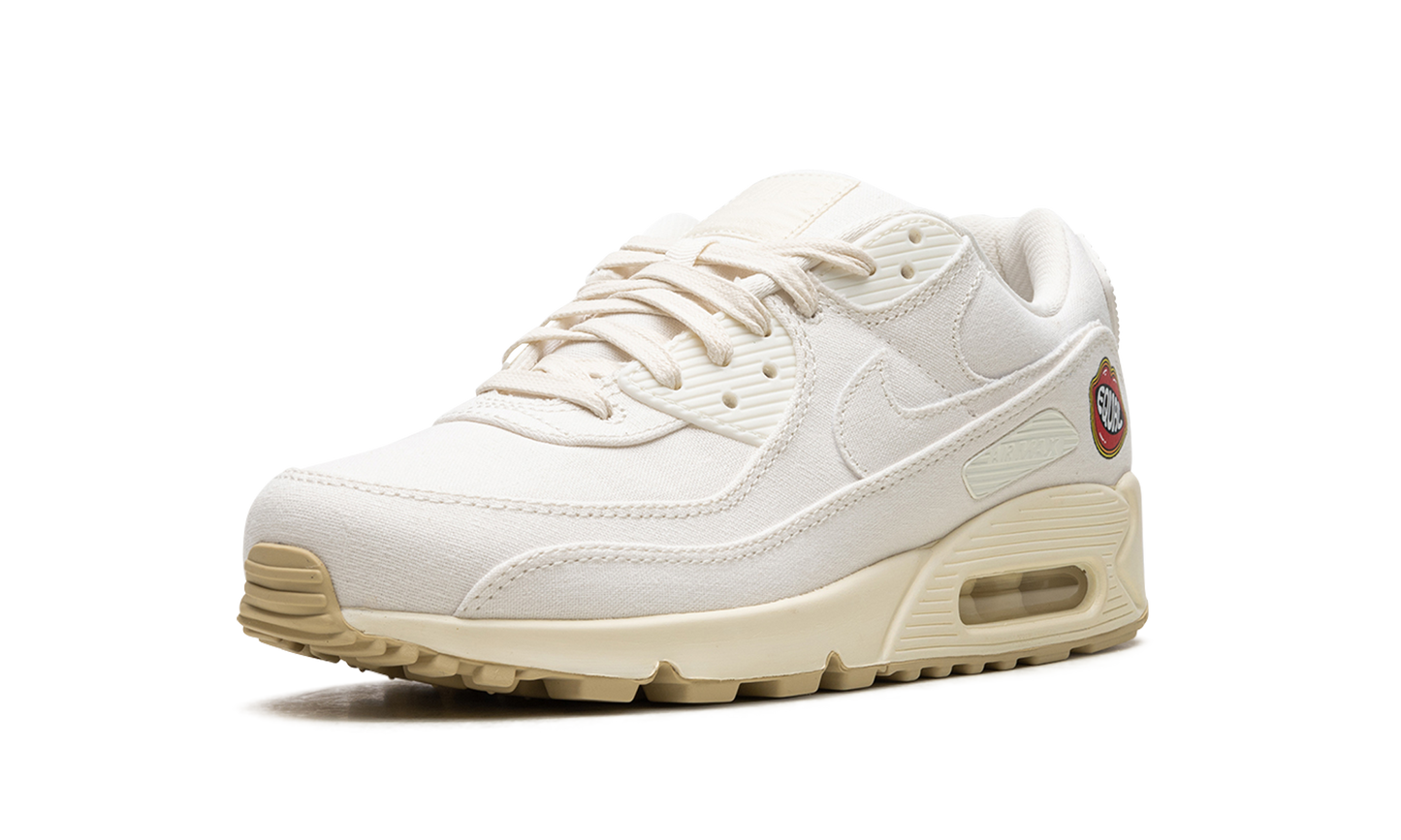 Nike AIR MAX 90 MNS WMNS "The Future is Equal" FD0867 133