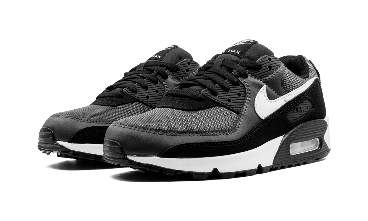 Nike Air Max 90 "Iron Grey" CN8490 002