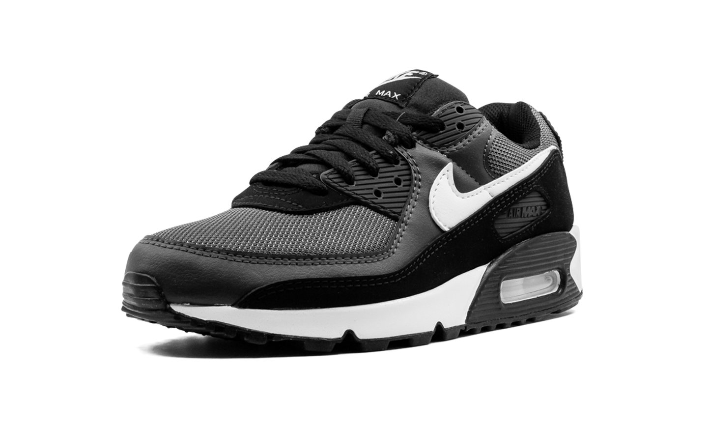 Nike Air Max 90 "Iron Grey" CN8490 002