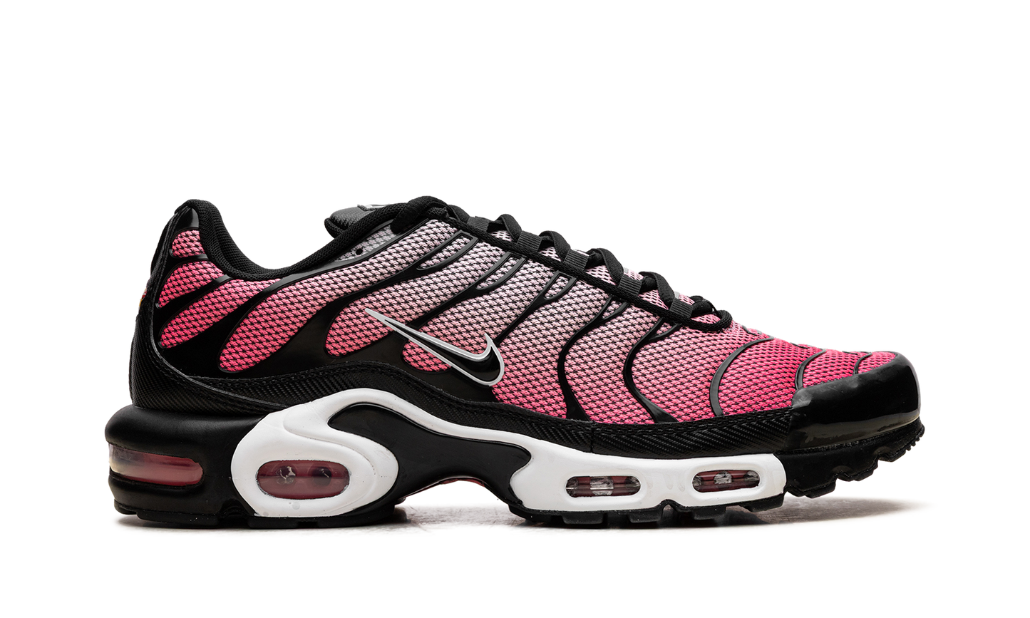 Nike Air Max Plus "All Day" HF3837 600