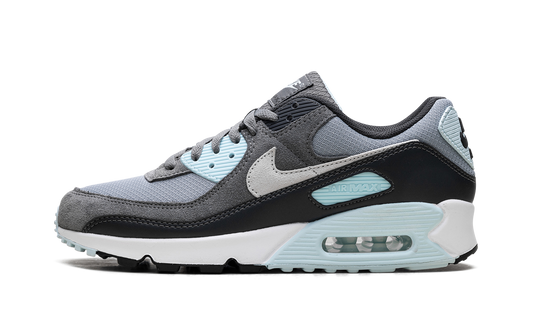 Nike Air Max 90 "Pumice" DM0029 009