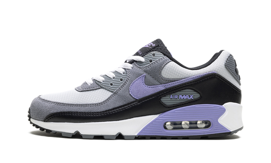 Nike Air Max 90 "Light Thistle" DM0029 014