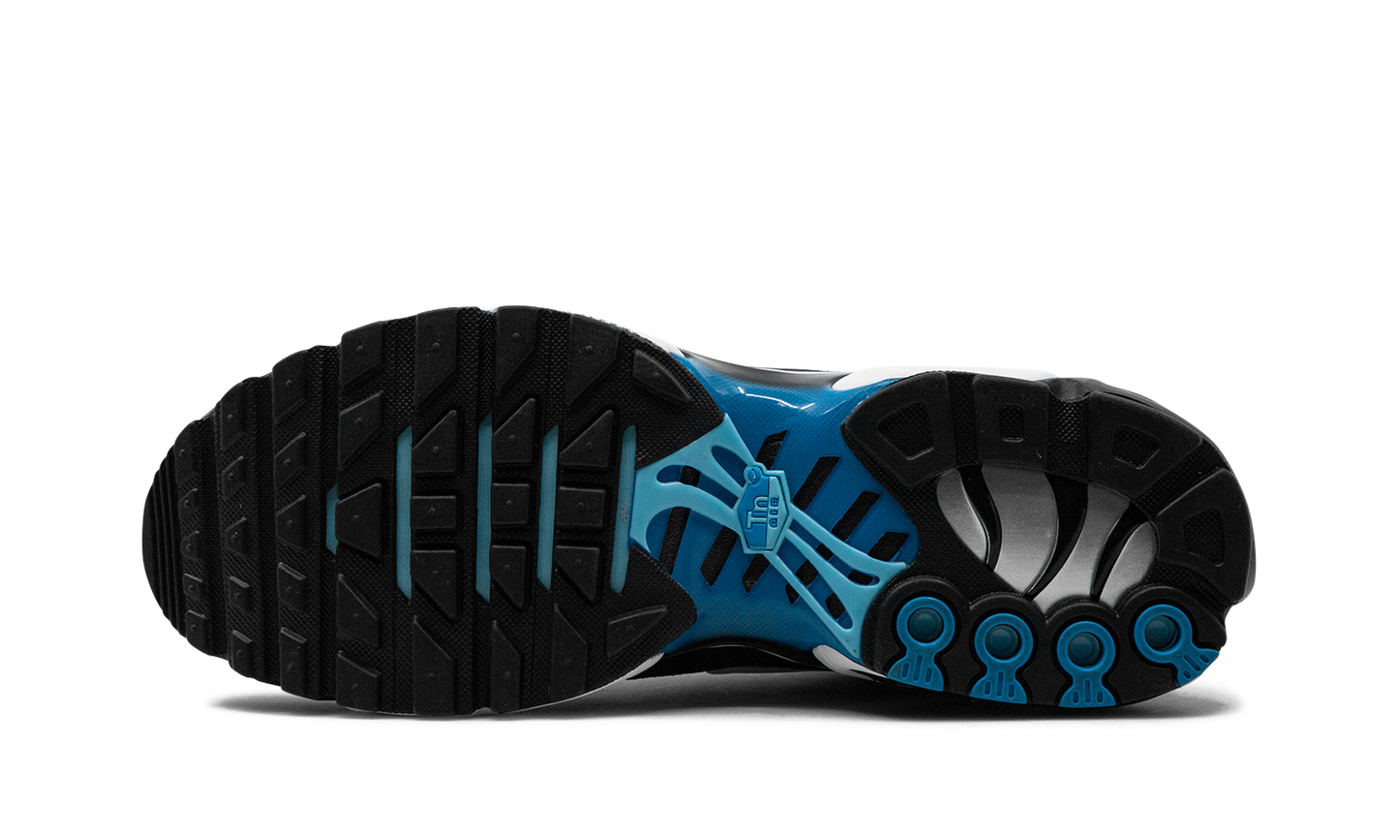 Nike Air Max Plus "Aquarius Blue" DM0032 402