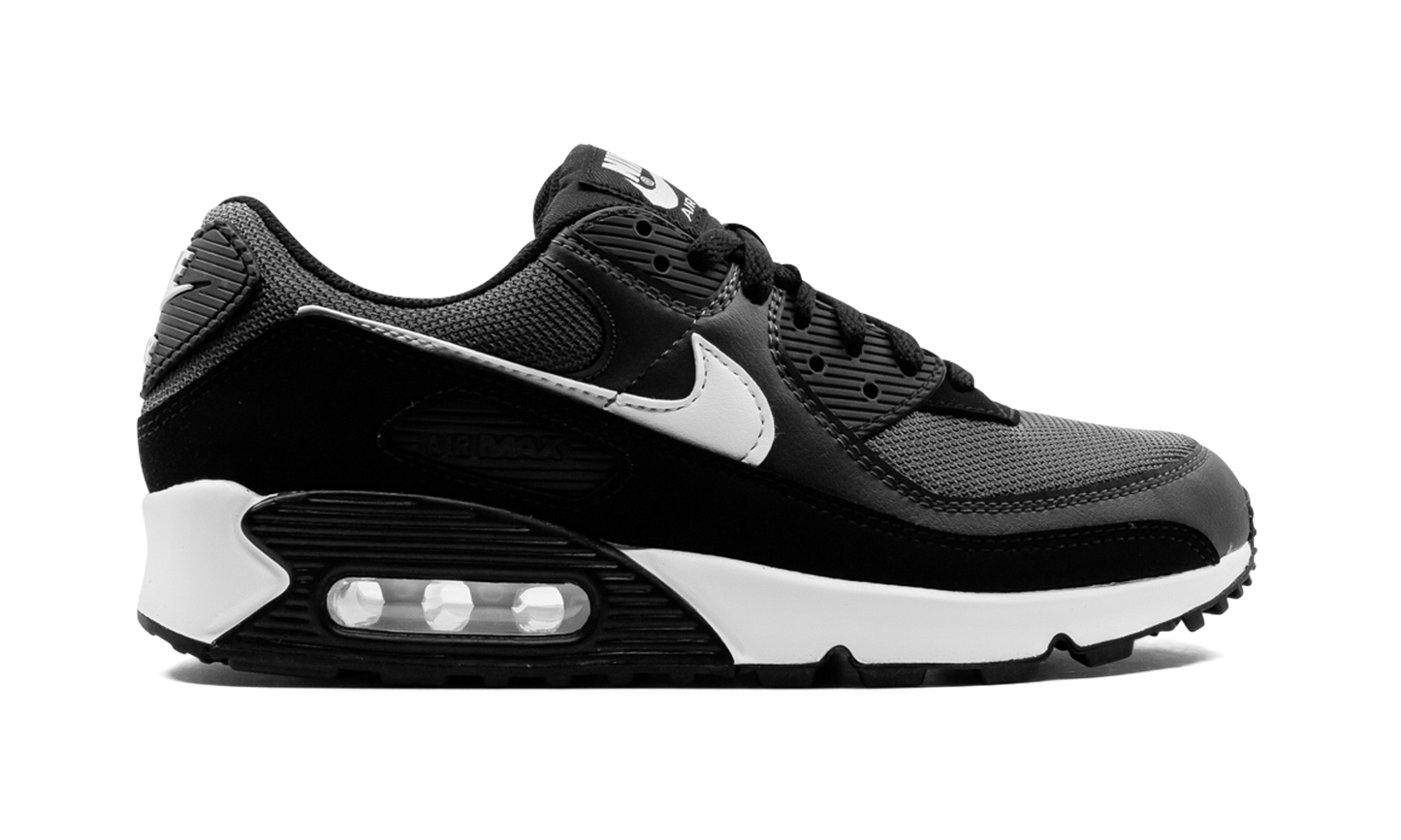 Nike Air Max 90 "Iron Grey" CN8490 002