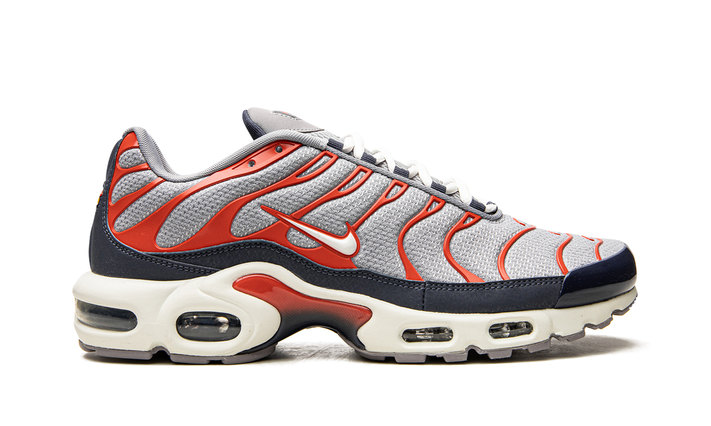Nike Air Max Plus "USA Grey" DB0682 003