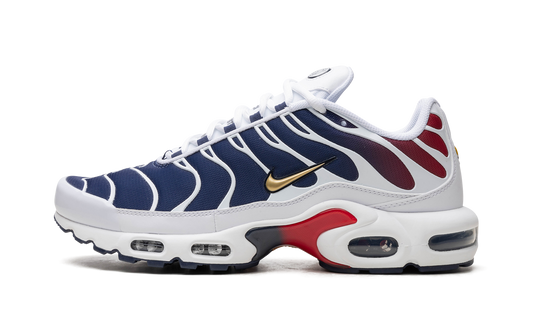 Nike Air Max Plus "PSG" FZ4776 100