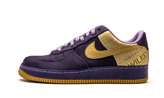 Nike Air Force 1 SPRM '07 "Wilkes" 315088 571
