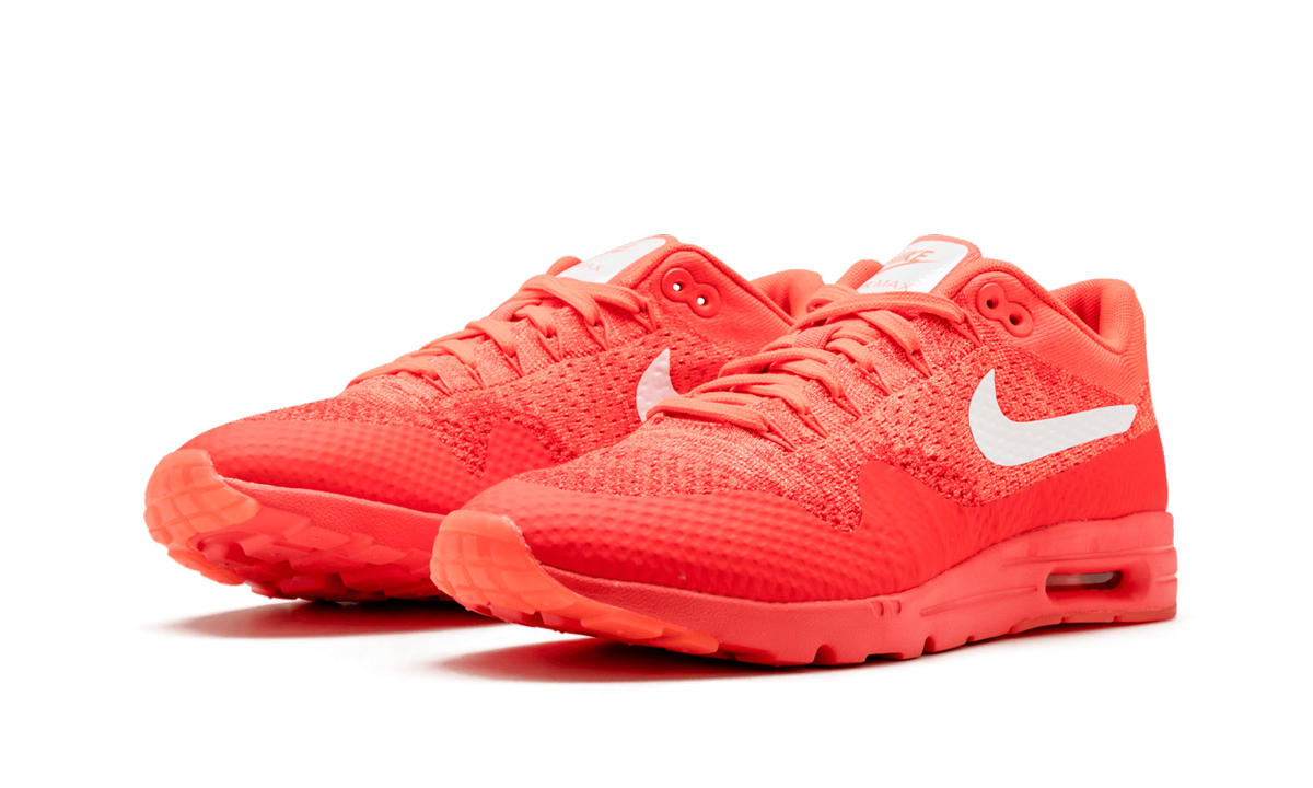 Nike AIR MAX 1 ULTRA FLYKNIT WMNS 843387 601