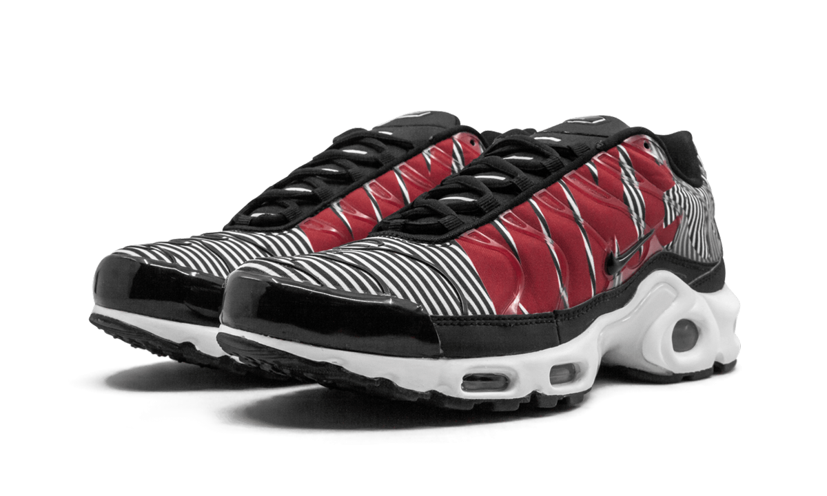 Nike Air Max Plus TN SE "Striped" AT0040 001